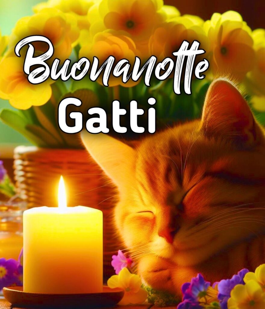 Divertente Buonanotte Gatti