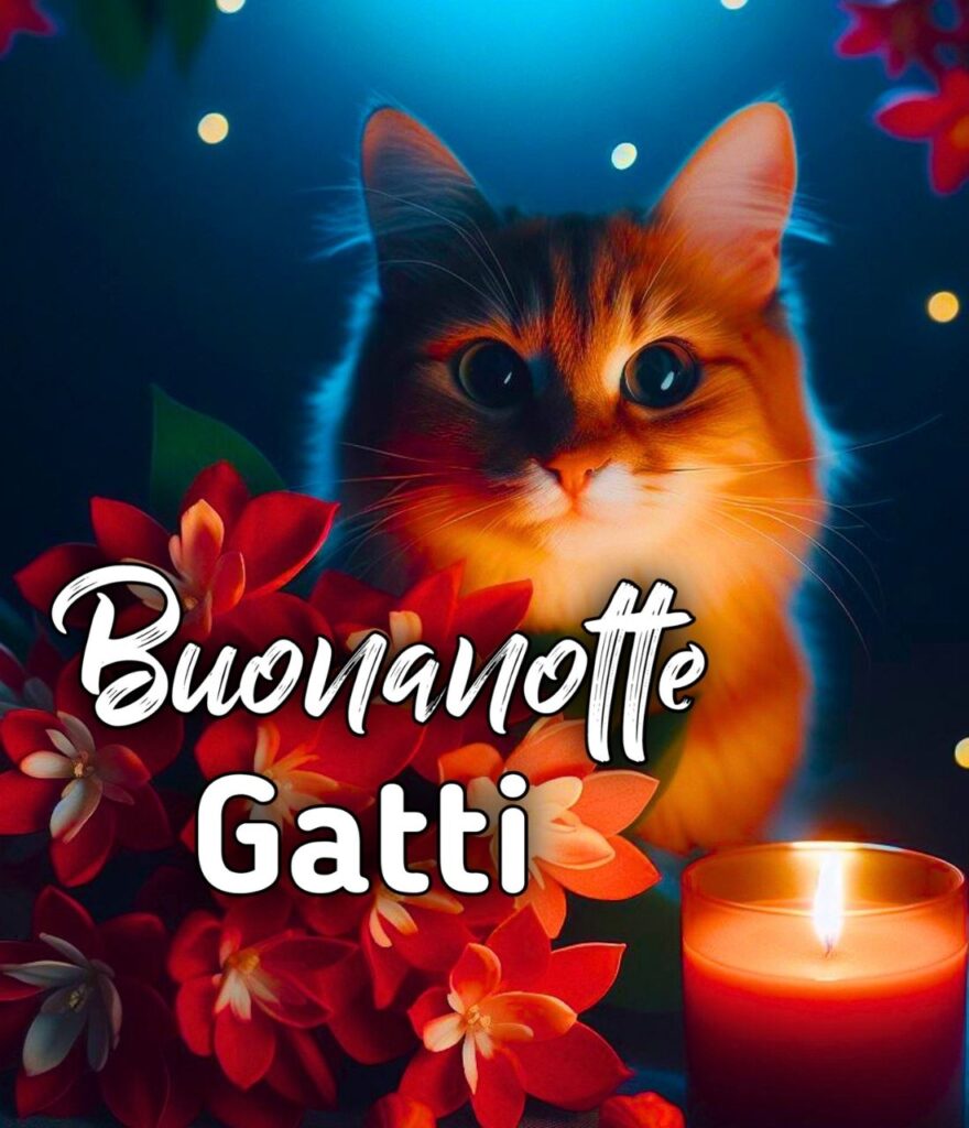 Divertente Buonanotte Gatto Silvestro