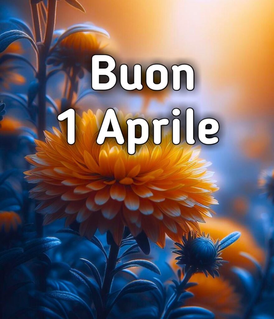 Eliminato Amici 1 Aprile