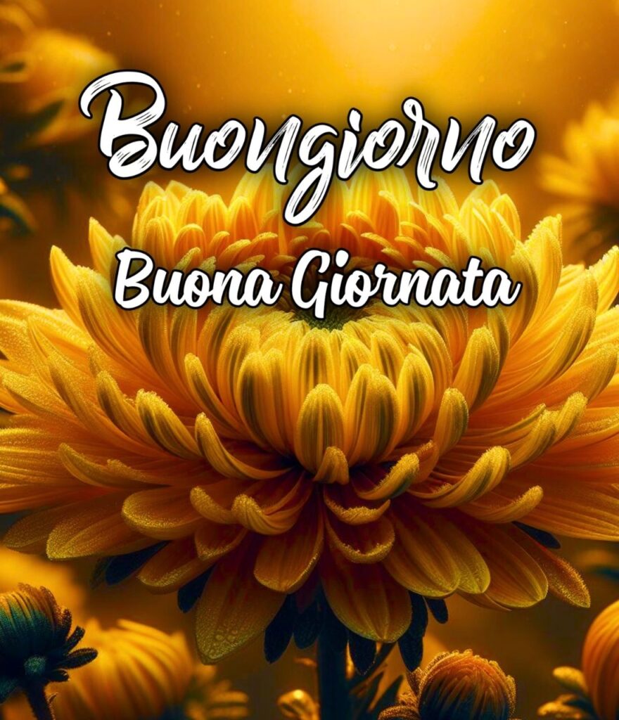 Felice Giornata Immagini Nuove