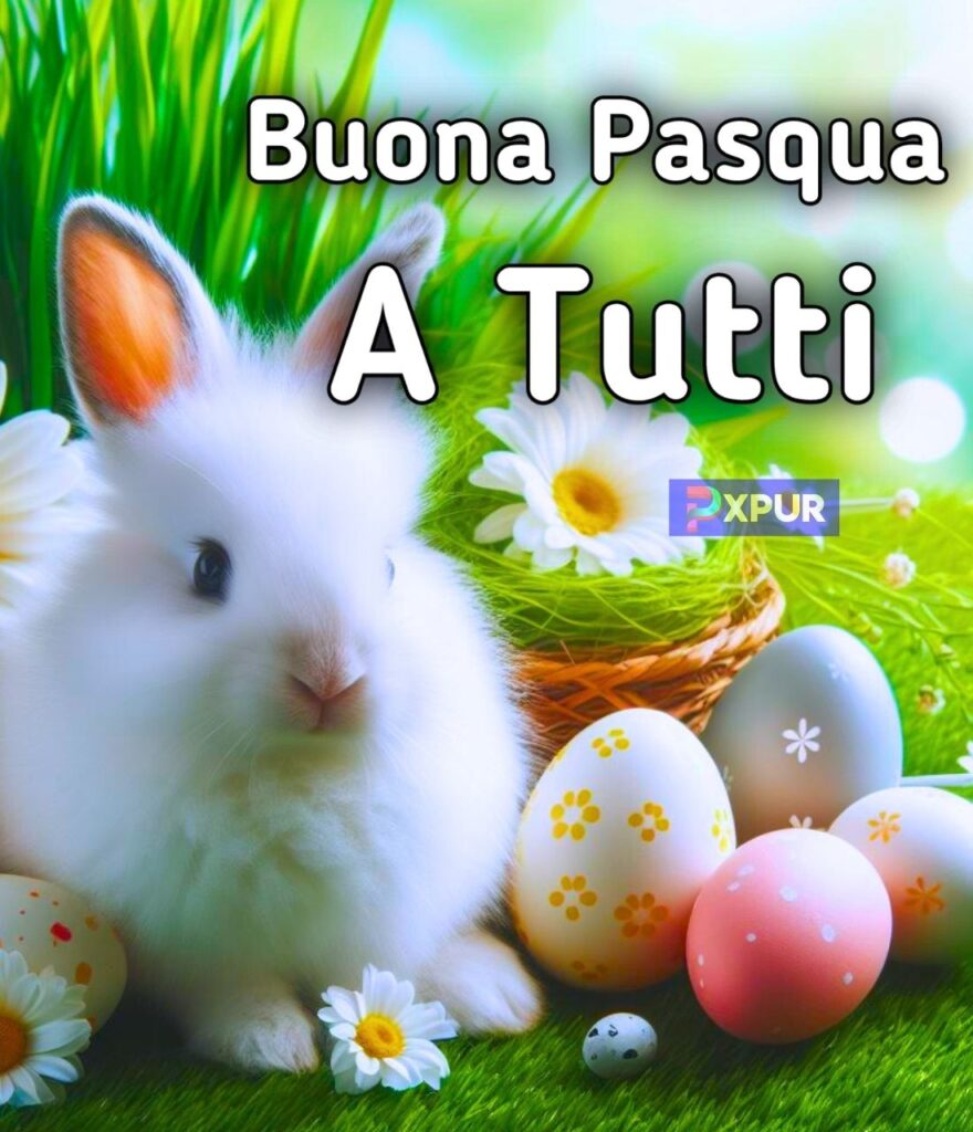 Felice Pasqua A Tutti