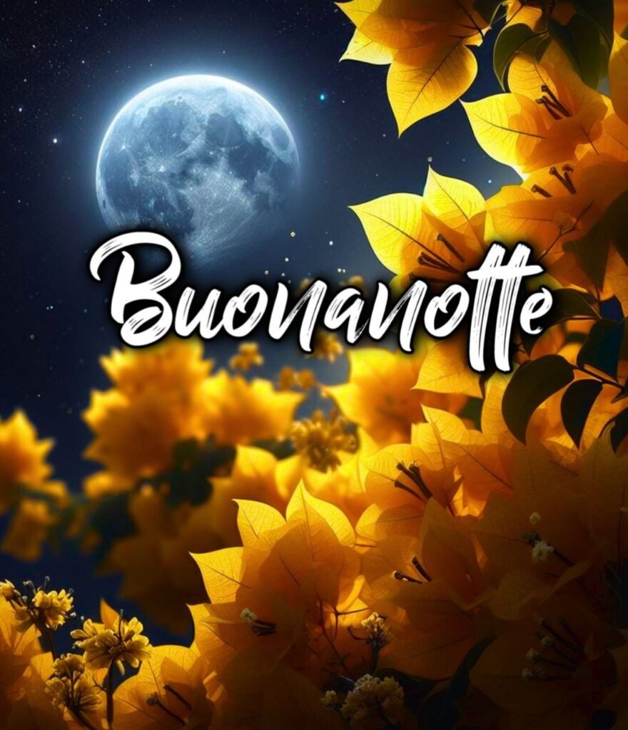 Foto Buona Serata E Buonanotte