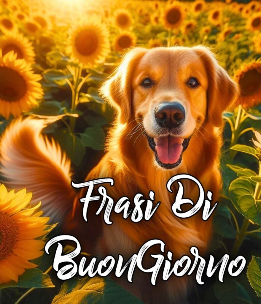 Frase Di Buongiorno E Buona Domenica