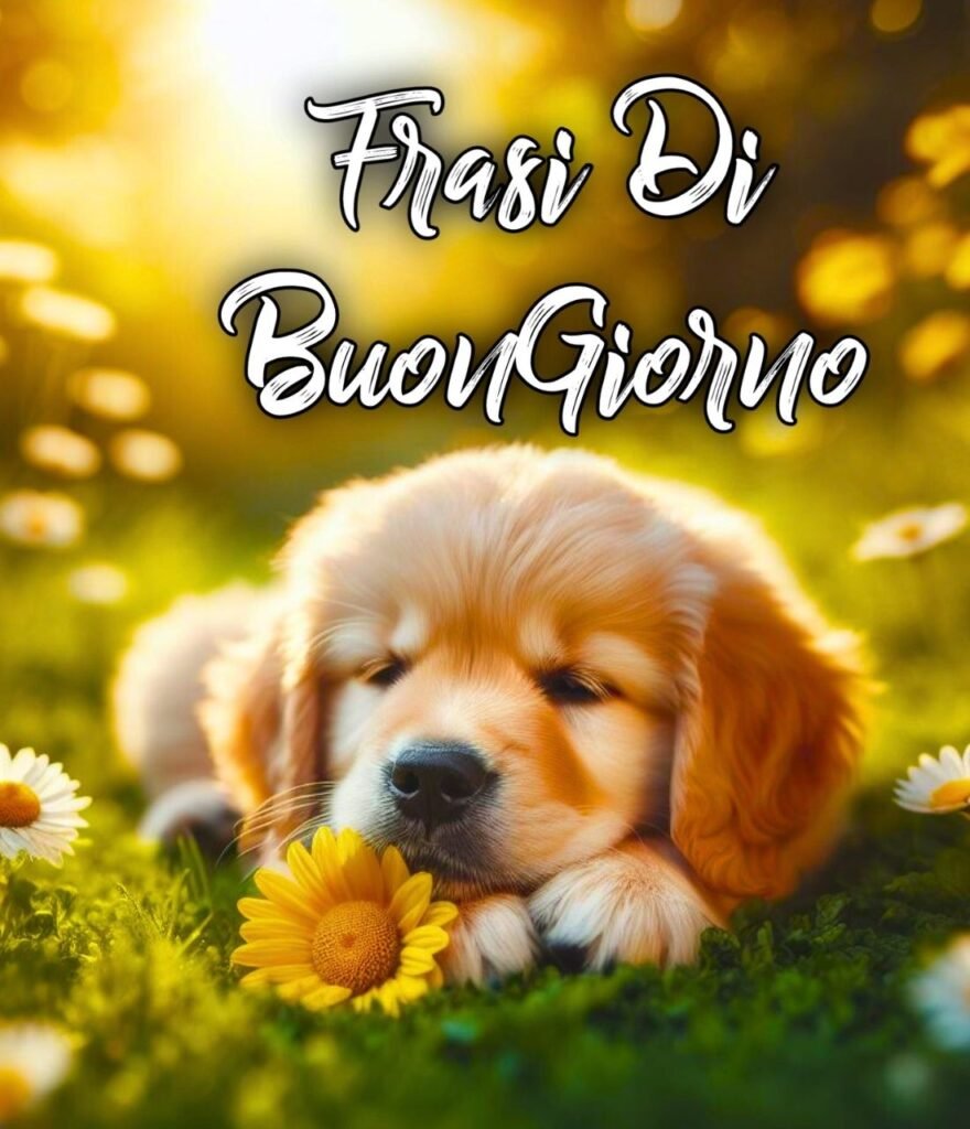 Frasi Buongiorno Cuore Di Anna