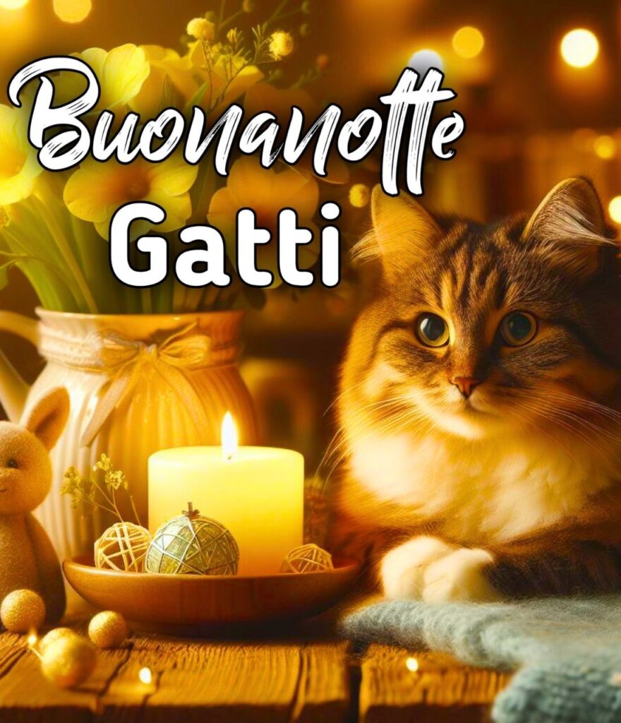 Gatti Che Danno La Buonanotte