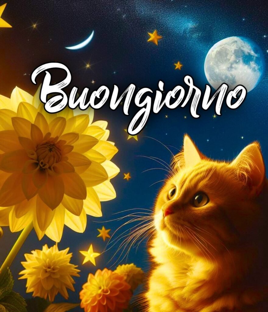 Immagine Belle Della Buonanotte