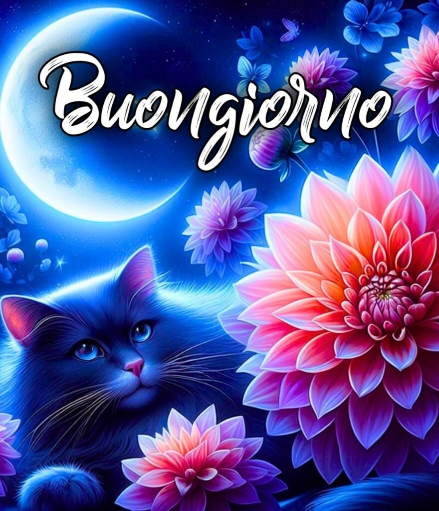 Immagine Di Buonanotte Belle