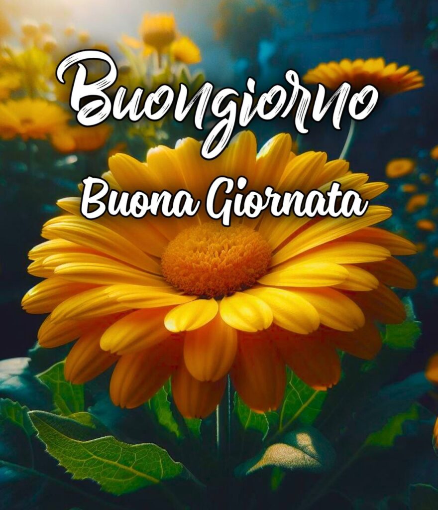 Immagini Buona Giornata Nuove