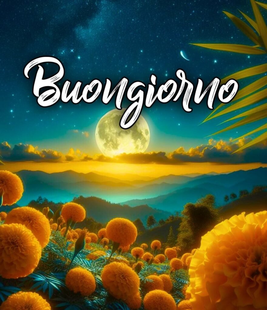 Immagini Buonanotte Belle Gratis Per Whatsapp Web