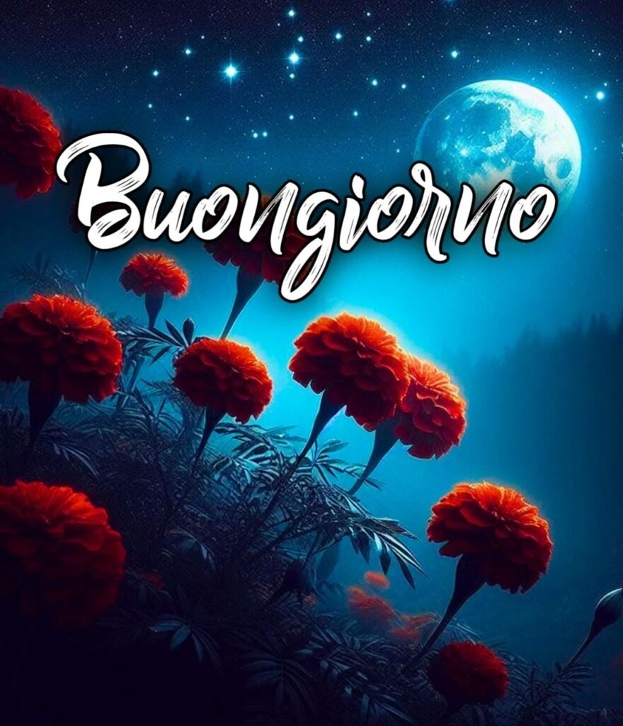 Immagini Buonanotte Belle Nuove