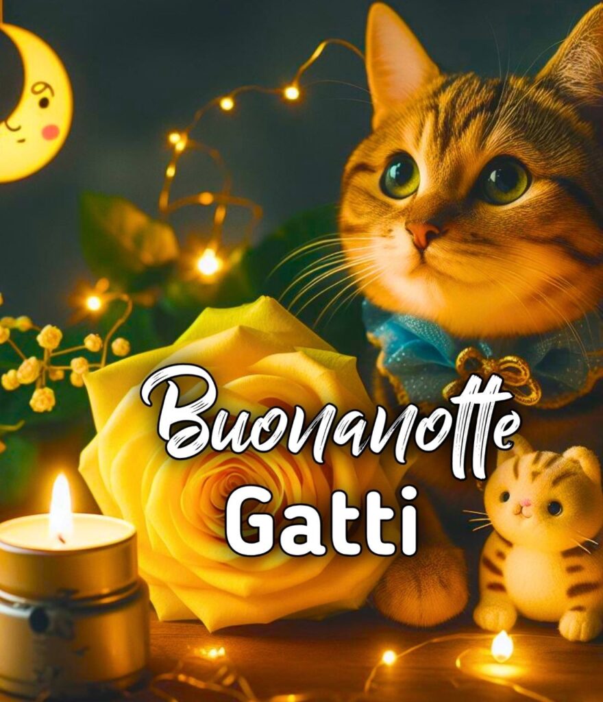 Immagini Buonanotte Con Cani E Gatti