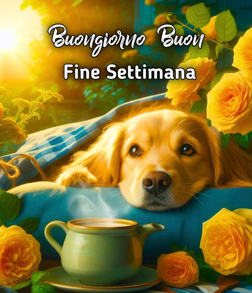 Immagini Buongiorno Buon Sabato Buon Fine Settimana