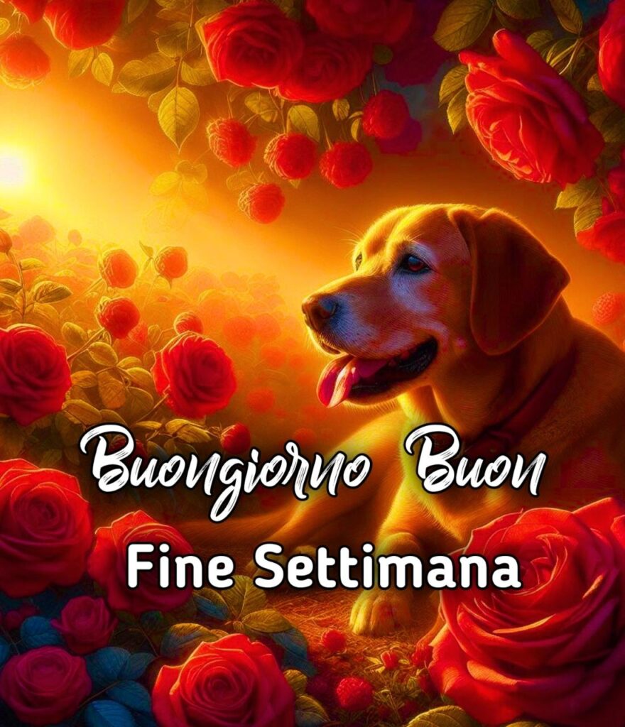 Immagini Buongiorno Buon Venerdì Buon Fine Settimana