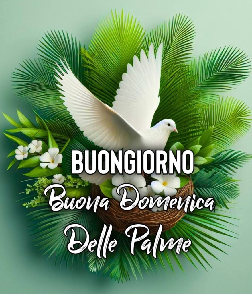 Immagini Buongiorno Domenica Delle Palme 24 Marzo