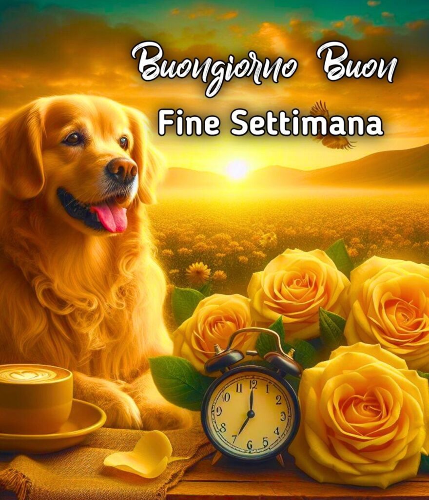 Immagini Buongiorno E Buon Fine Settimana