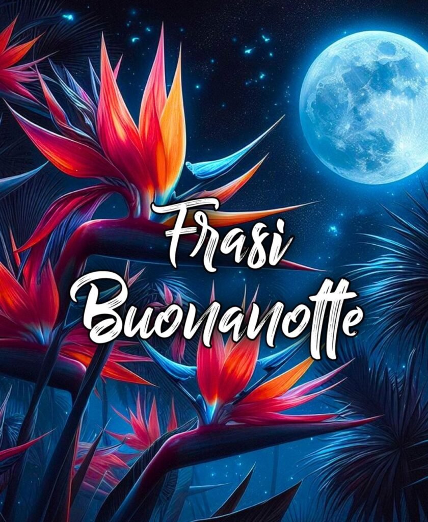 Immagini Con Frasi Buonanotte