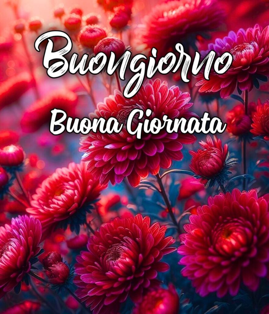 Immagini Di Buona Giornata