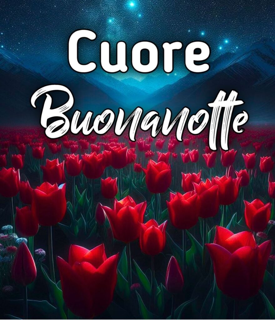 Immagini Di Buonanotte Le Fate Del Cuore