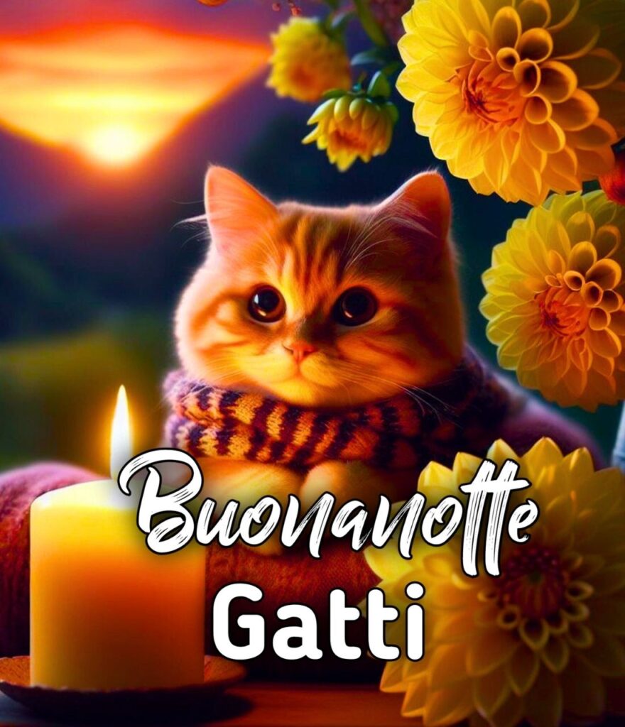 Immagini Divertenti Buonanotte Gatti