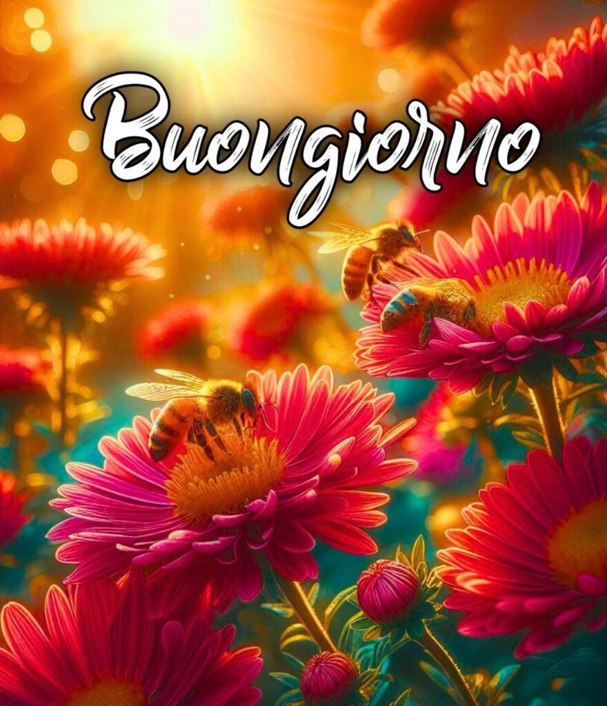 Immagini Semplicemente Buongiorno