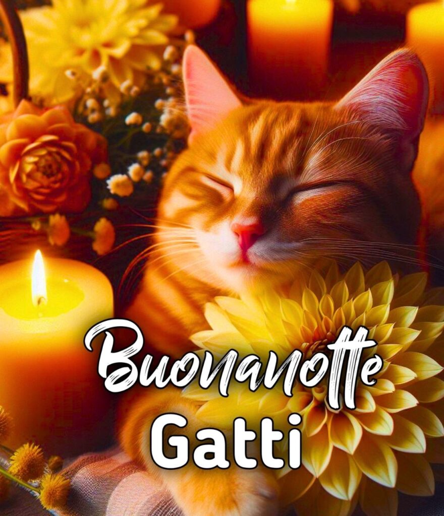 Ironico Buonanotte Gatt