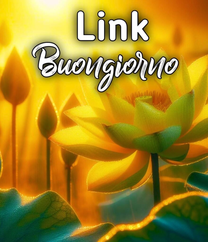 Link Buongiorno 30 Dicembre