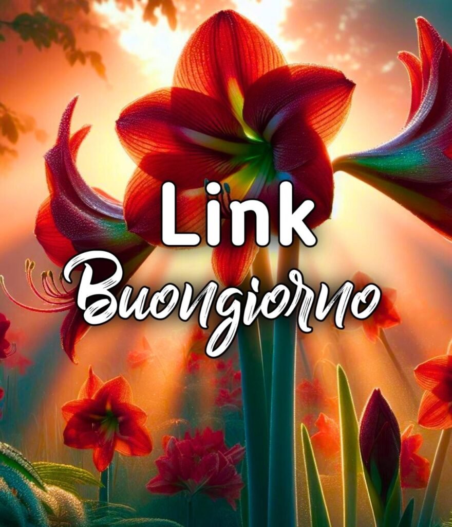 Link Buongiorno Buon Sabato