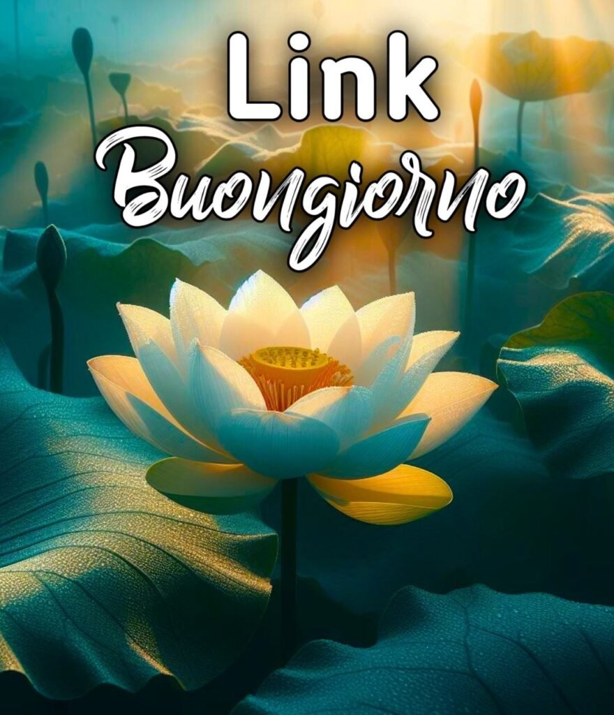 Link Buongiorno Buon Venerdì