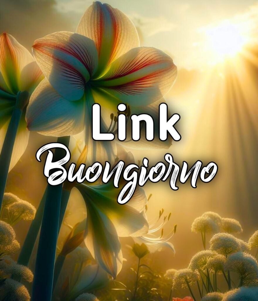 Link Buongiorno Domenica