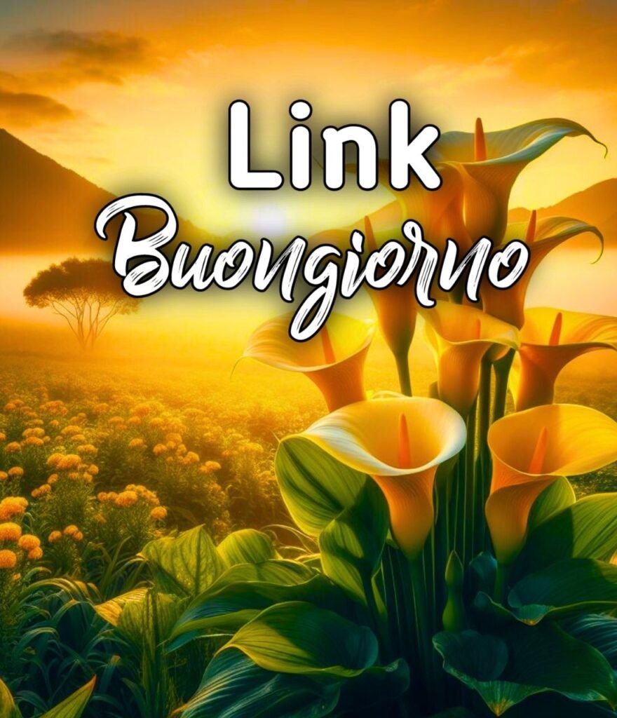 Link Buongiorno E Buon Sabato