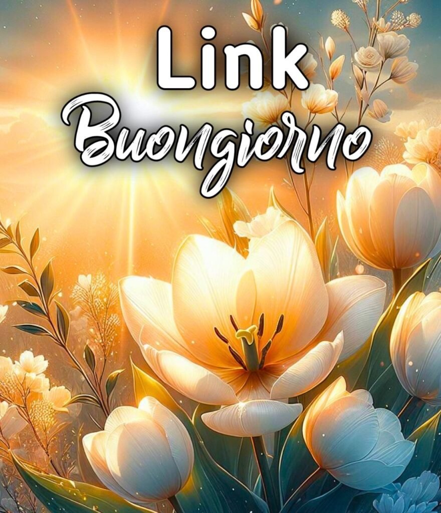 Link Buongiorno Mercoledì