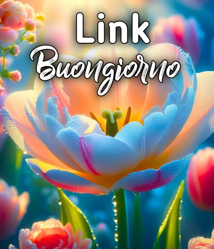 Link Buongiorno Mercoledi