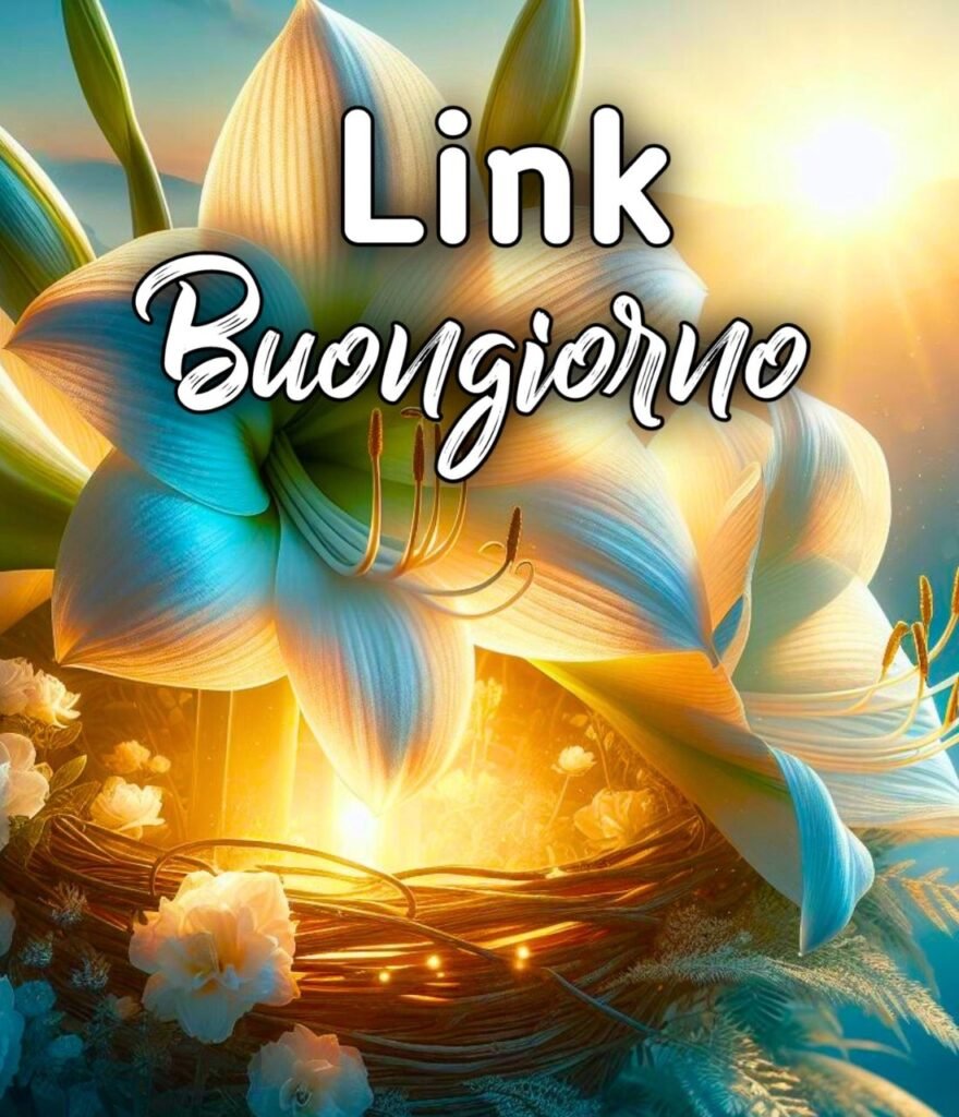 Link Buongiorno Sabato