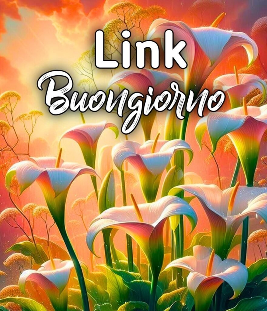 Link Dei Buongiorno