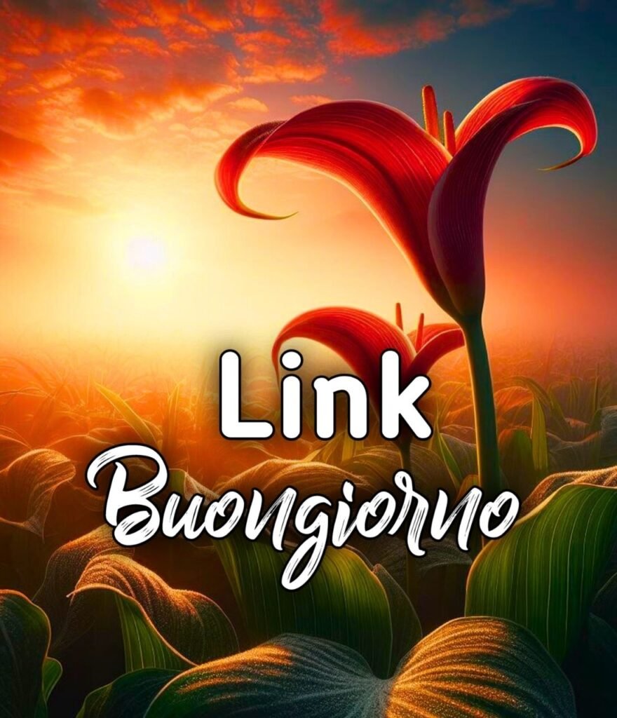 Link Del Buongiorno