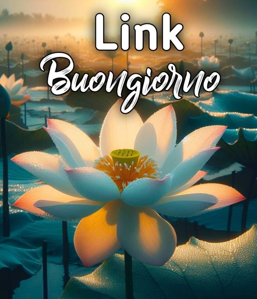 Link Del Buongiorno Nuovi