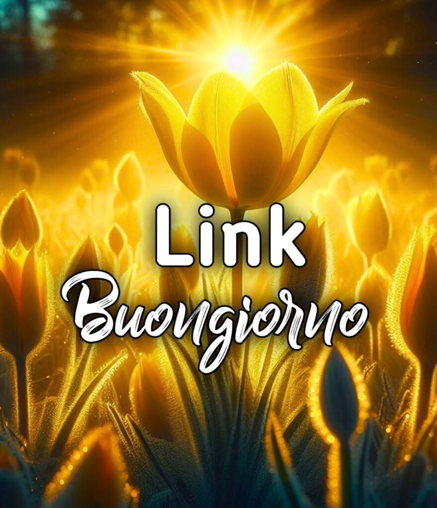 Link Del Cuore Buongiorno