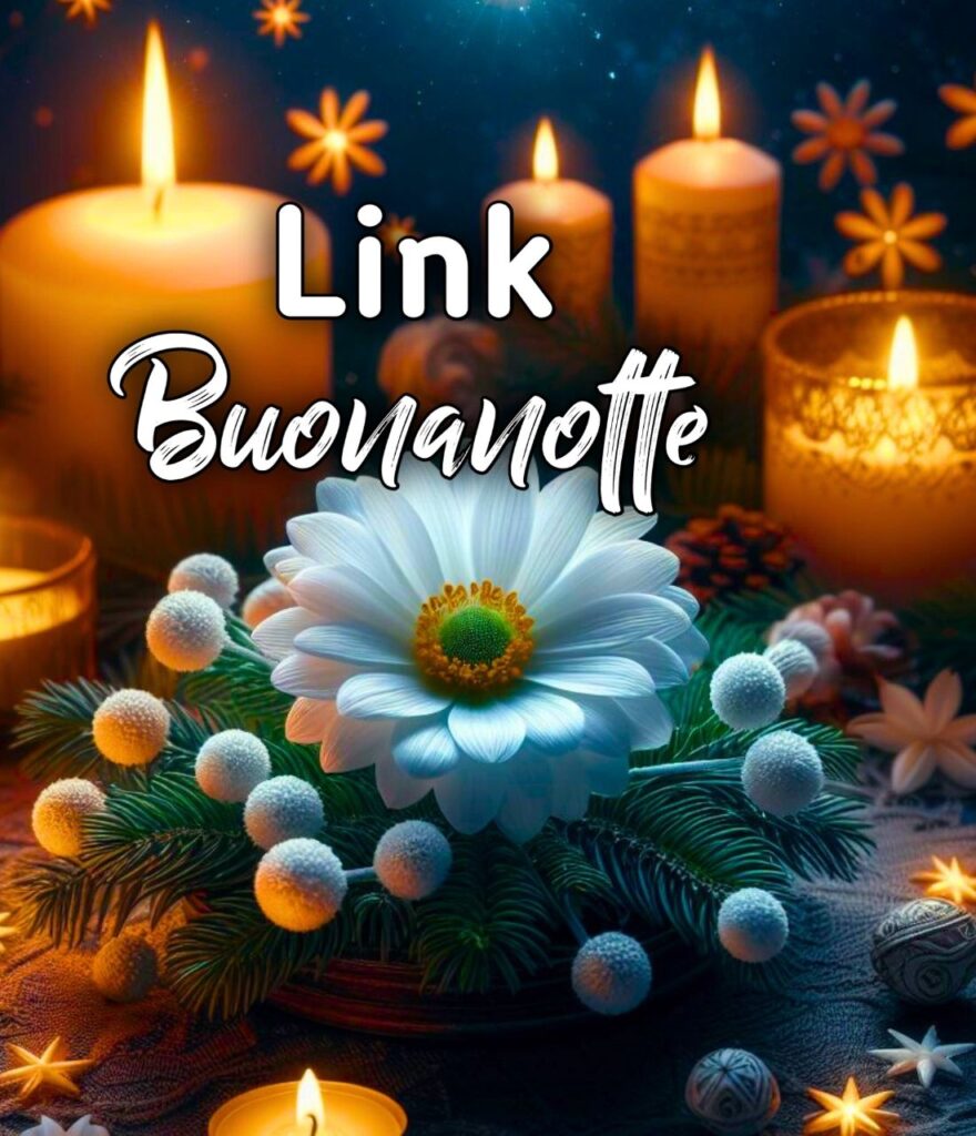 Link Della Buonanotte