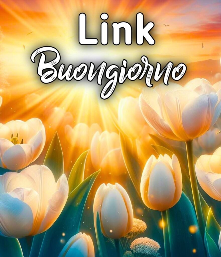 Link Di Buongiorno