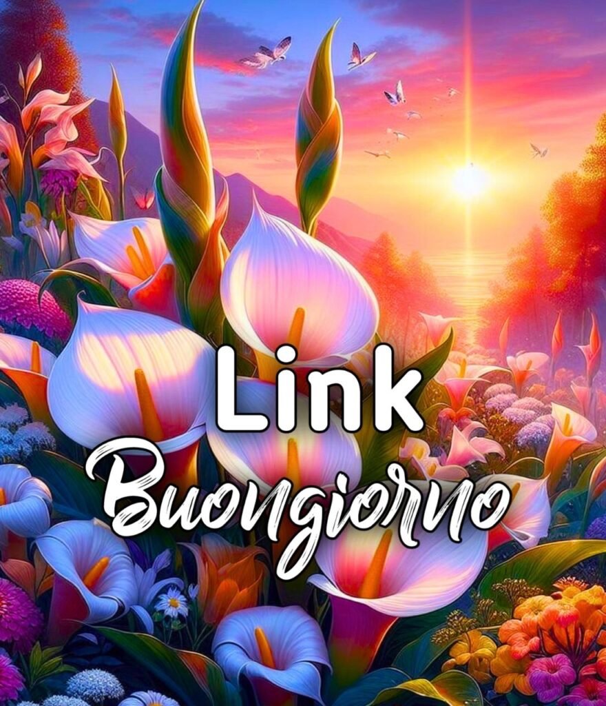 Link Di Buongiorno Amore