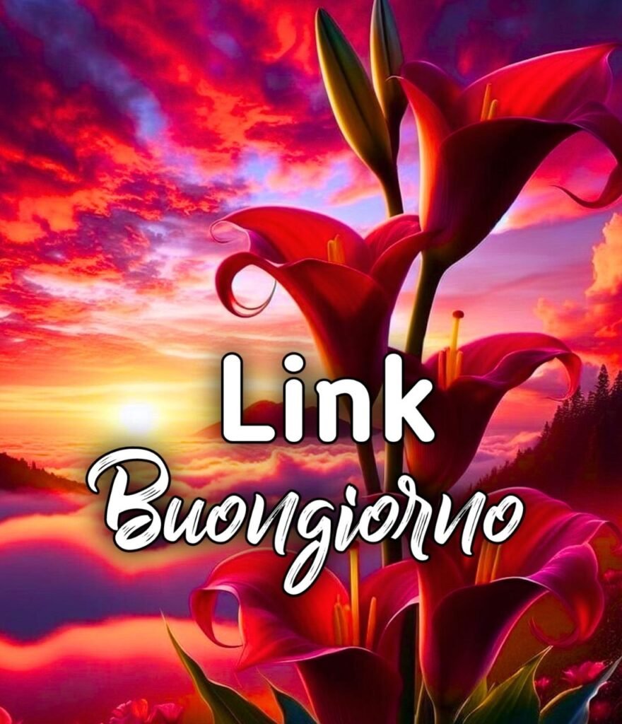 Link Di Buongiorno Nuovi