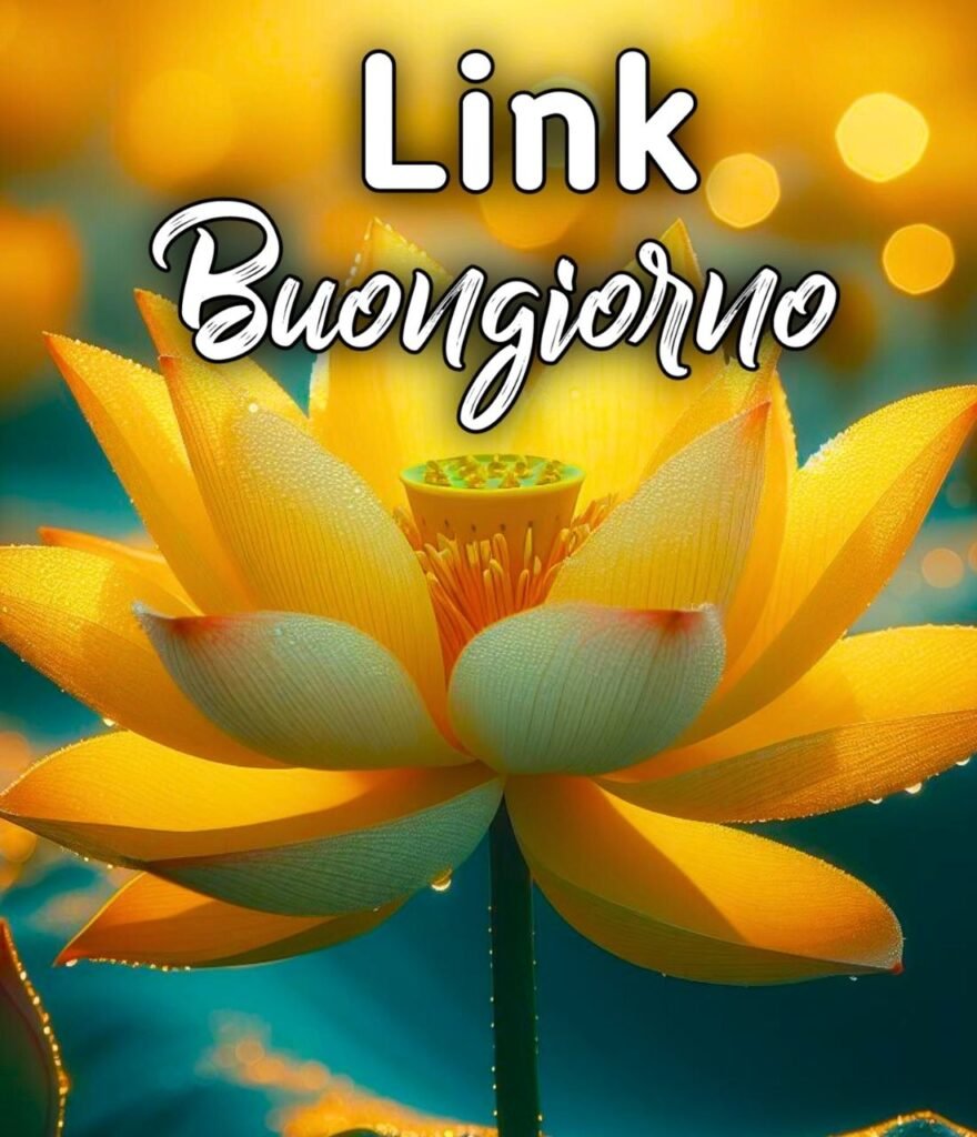 Link Di Fragolina Buongiorno