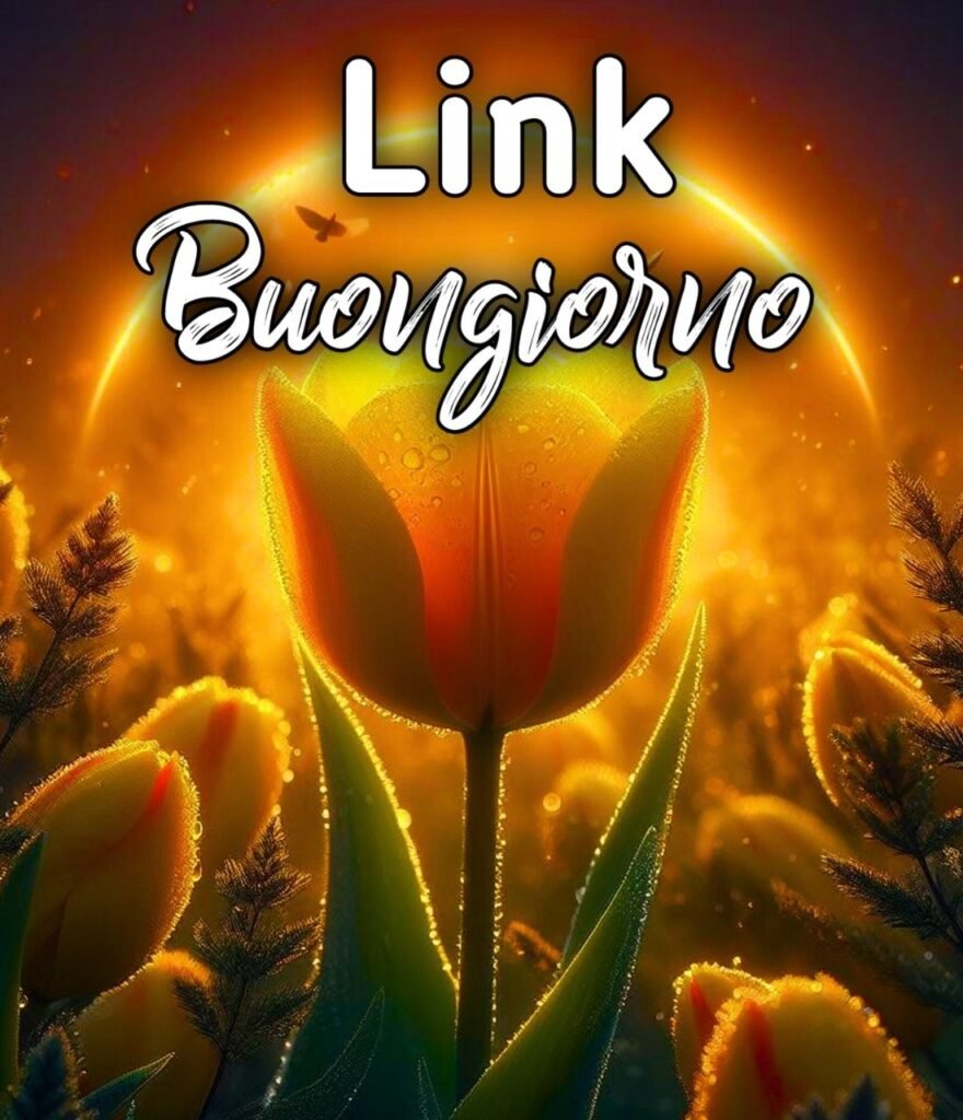 Link Di Goccia Di Rugiada Buongiorno