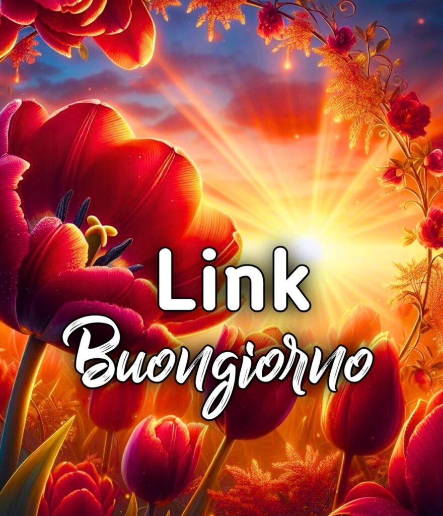 Link Divertenti Di Buongiorno