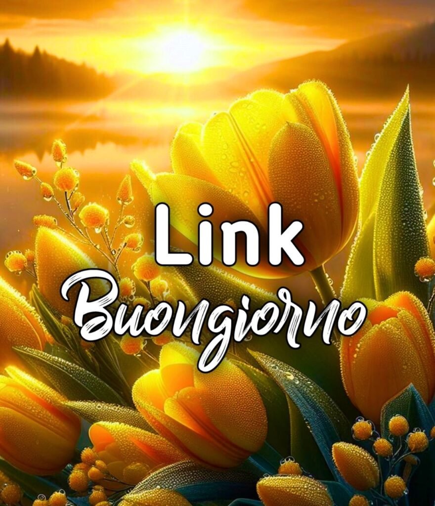 Link Divertenti Sul Buongiorno