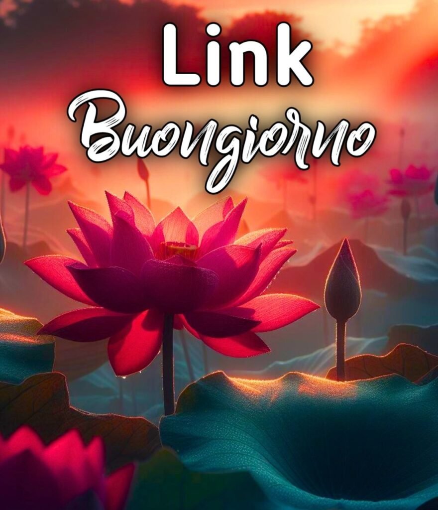 Link Gocce Di Rugiada Buongiorno