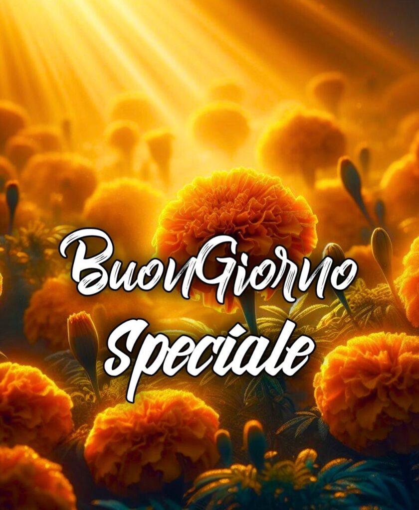 Martedì Speciale Raggio Di Sole Buon Martedì Buongiorno