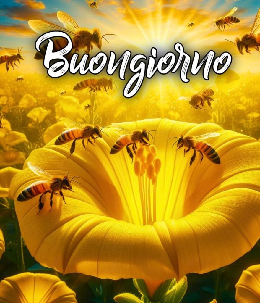 Nuove Immagini Semplicemente Buongiorno