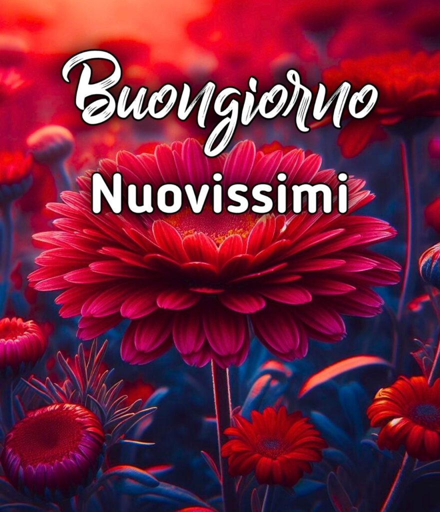 Particolare Nuovissimo Buongiorno Immagini Nuovissime