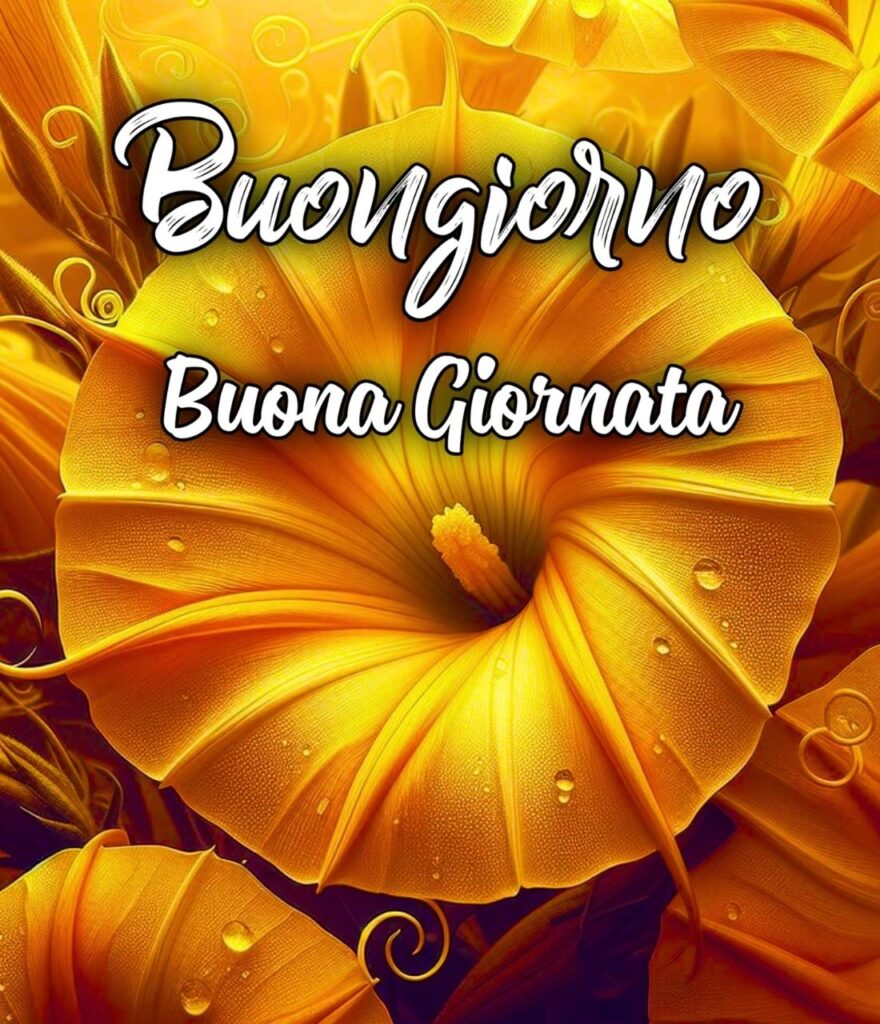 Pinterest Buona Giornata Originale Buongiorno